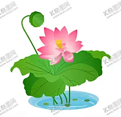 盛开的粉色荷花插画 【酷图网】意境荷花,荷花摄影,池塘,粉色莲花,粉色荷花,荷,荷塘,高清荷花,祥云,传统莲花,荷花图,荷花池,荷韵,莲,高清莲花,唯美荷花,手绘莲花,卡通莲花,复古莲花,水滴,莲花插画,莲花白描,莲花线描,莲花线条,莲花线稿,莲台,莲花台