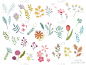 Set of floral elements for graphic and web design.