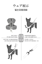 puppylife 猫咪牵引绳外出专用防挣脱胸背带可调节背心式宠物牵引-tmall.com天猫