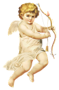 欧式复古古典天使竖琴丘比特婚礼照片装饰免扣PNG图案 PS设计素材 (28)