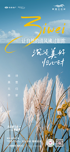 X--yj采集到文旅