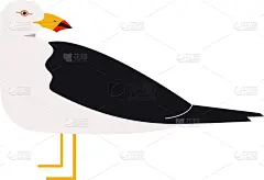 海鸟,太平洋,分离着色,海鸥,可爱的,几何形状,野生动物,肖像,大西洋,小的