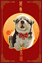 狗年旺旺旺（26）