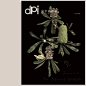 dpi｜設計插畫誌 2月號/2021 第249期 | dPi 設計插畫誌 | Pink Pic***色選物店 | 妞新聞 | NIUSnews : 台灣唯一插畫設計專業雜誌，數位版同步發行中。