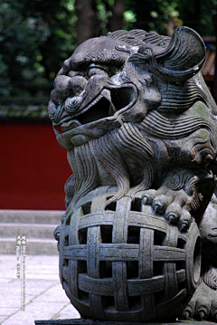 风一半鸥两三采集到纹身 国风