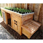 Dual purpose - need a little space for a couple of chickens as well..