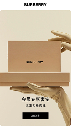 DANDALOO_CH采集到Burberry 博柏利