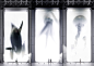 Ghost : Ghost is a visualization of a possible future for our Ocean life. This representation of "The Future" shows the creatures of what they were, and what could have been prevented.