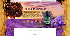 横道道采集到阿芙精油