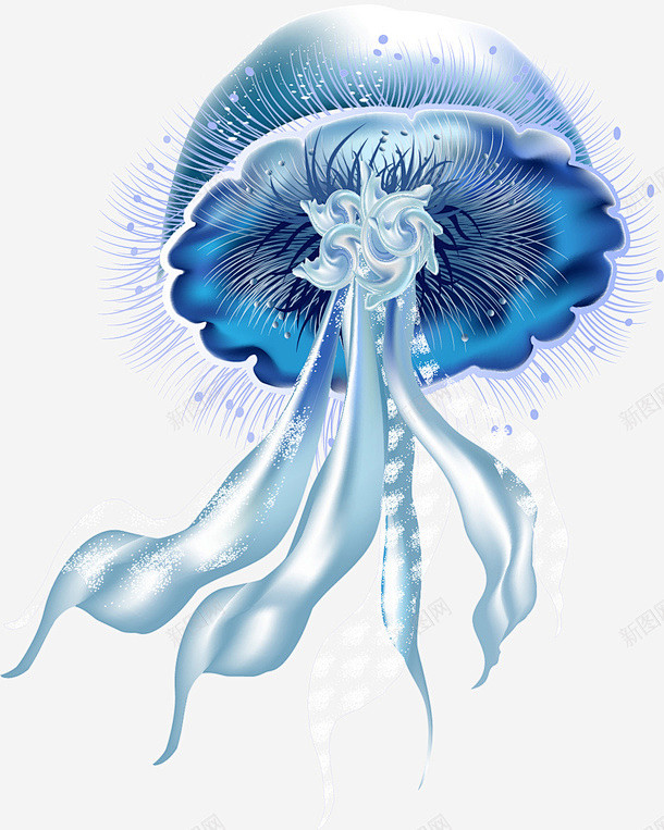 海洋生物 免费下载 页面网页 平面电商 ...