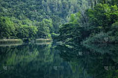 ____兮采集到其他