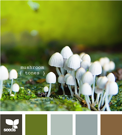 mushroom tones