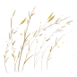 手绘水彩芦苇丛植物透明背景免抠PNG图案 装饰PS设计合成素材 (90)