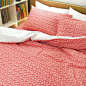 UIVY 红花 全棉床品 四件套床单式1.2米
花儿为什么这样红，鲜得使人不忍离去，像似天山上的来客。
