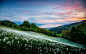 General 1920x1200 nature landscape field trees white flowers spring sunrise mountains sky bay sea shrubs