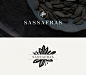 Sassafras 药剂品牌和包装设计 | Poly Studi 设计圈 展示 设计时代-Powered by thinkdo3@北坤人素材
