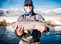 Proud Fisherman Holding Up His Rainbow Trout In Winter