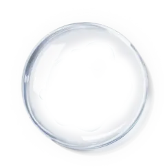 水泡