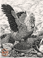 161607un1yunos4o49o10g.jpg (2.24 MB,2501*3334)