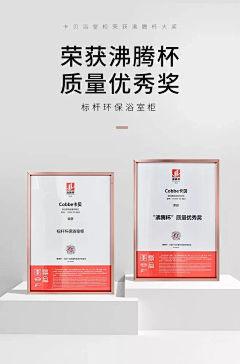 千年小妲己采集到B·表现形式-证书资料