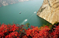 美不胜收的长江三峡（巫峡）红叶。重庆，中国