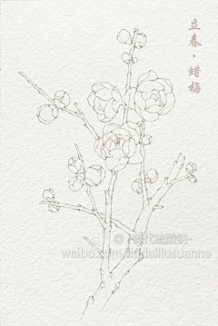 哐当采集到线稿
