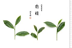 Rabbif_采集到茶