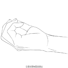 芦栖栖栖栖采集到人体