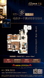 新疆 碧桂园 版式 户型