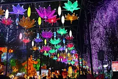 中国自贡灯会 街头