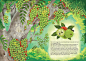 animal children's book forest ILLUSTRATION  jungle natural Picture book picturebook Tree  vietnam