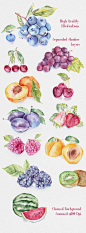 手绘水彩猕猴桃水果西瓜葡萄插图食品食物蔬菜PSD设计元素  (2)