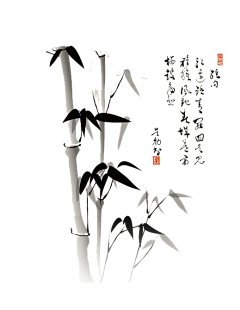 幻花秋月采集到国风竹子