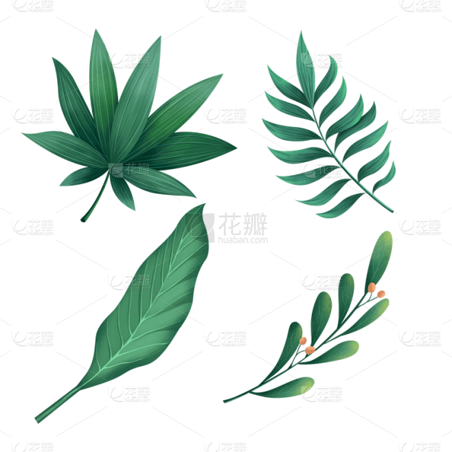 手绘绿色植物树叶元素