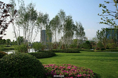冬之光采集到Z-植物组团空间
