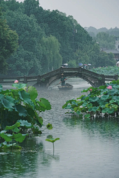 过去11采集到湿地