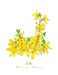 金英翠萼迎春来~海量迎春花手绘素材！ : 迎春花，木犀科，素馨属，花期2~4月。 因其在百花之中开花最早，花后即迎来百花齐放的春天而得名，迎春。 迎春花是春姑娘的使者~ 不管是立春还是春分，春天的节气都少不了迎春花的...