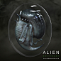 异形：契约 Alien: Covenant图集|花廊|花魁小站