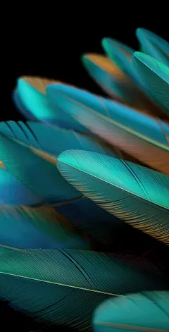 oppo find N2 平板电脑壁纸(9)