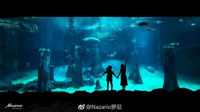 Nazario罗尼的照片 - 微相册-花瓣网