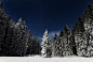 xztpchdhbt0-paul-itkin#森林#夜晚#夜空#雪地#冬天#圣诞#松树#