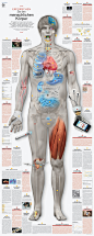 The Body Map is included as a poster supplement in the printed “Gesundheit” (Health Care) edition of Credit Suisse’s biannual investor magazine “Global Investor”. The virtually life-size poster offers insight into the possibilities and future of modern me