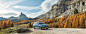 NEW OCTAVIA OCTAVIA 2020 OCTAVIA NEW GENERATION skoda octavia SKODA AUTO