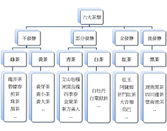 D-Luciferin采集到图形树形