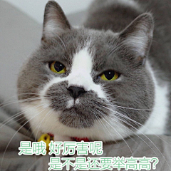 ツ追采集到表情