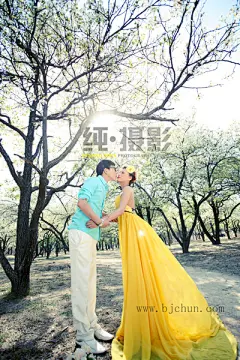 百度图片搜索_唯美婚纱照桌面壁纸的搜索结果