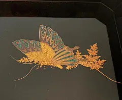 柠檬花叔资源库 [http://2183934212.qzone.qq.com]