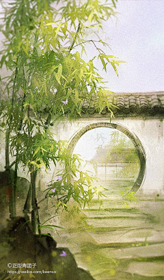 mtttt🐋采集到参考