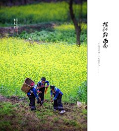 以梦游天采集到动物 静物  景物