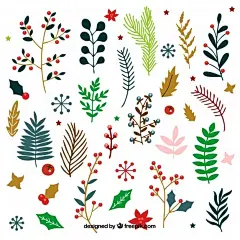 【花草盛开】

出处：freepik.com#手帐素材插画手绘##艺界v动态# ​​​​